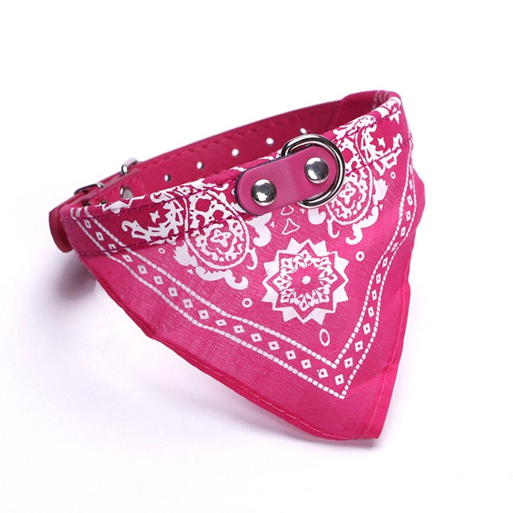 Dog Accessories